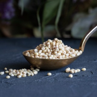 Bioloģiski sorgo graudi (lobīti)