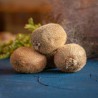 Organic kiwi