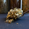 Organic mountain tea "Sideritis scardica"