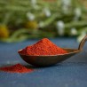Bioloģiska kūpināta paprika