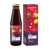 Fruit and herbal drink with honey, iron and vitamins C, B1, B2, B6, B12, 450 ml, Rabenhorst
