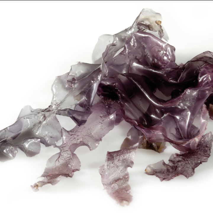 Organic dried sea vegetables NORI (flakes)
