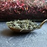 Bioloģiska japāņu Premium Sencha Konomi zaļā tēja