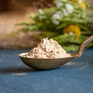 Organic Oyster mushroom powder (Pleurotus ostreatus)