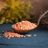 Organic split red lentils