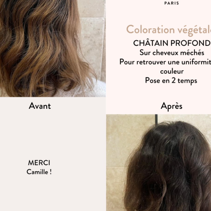Organic hair dye Chesnut Brown