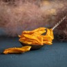 Organic mangoes (dried)