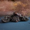 Organic pitted plums (dried)