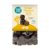 Bioloģiski ingvera gabaliņi šokolādē Ginger Pleasure, 150 g, TERRASANA