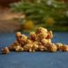 Organic mulberries