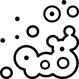 Rauga pārslas