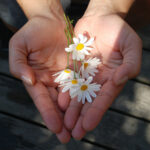 Подарочный ваучер