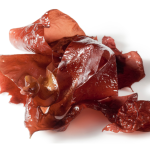 Organic dried seaweed DULSE