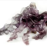 Органические сушеные морские водоросли NORI