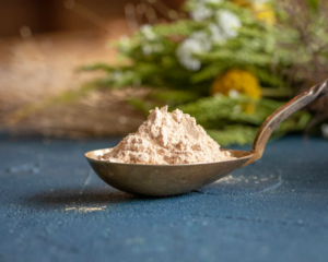 Organic oyster mushroom powder (Pleurotus ostreatus, Oyster)